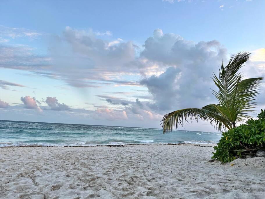 3 Bedroom Luxury Condo Next To Beach & Pools, Ac And Internet Akumal Exterior photo